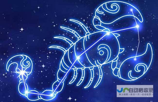 天蝎网站建设 - 专业打造您的专属在线平台